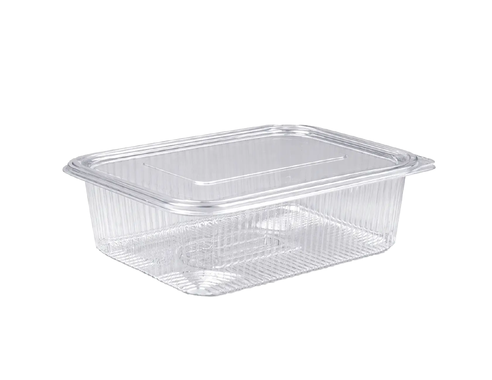 Flat Hinged Box 2000 Flat Hinged PET Container 2000 ml (229×175×81 mm) - Image 1